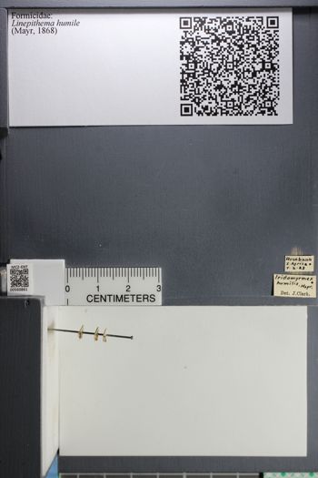 Media type: image;   Entomology 560861